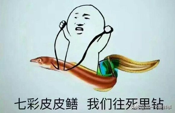 鳝鱼门,黄鳝案曝光主播现在咋样