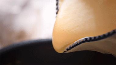 电饭煲生存指南，一键做一只番茄饭+蜜汁鸡翅+香软蛋糕