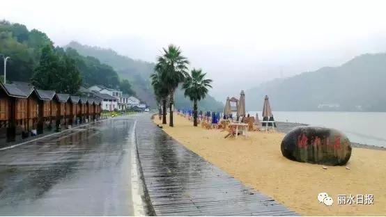 红色新丽水,红色浙西南央视