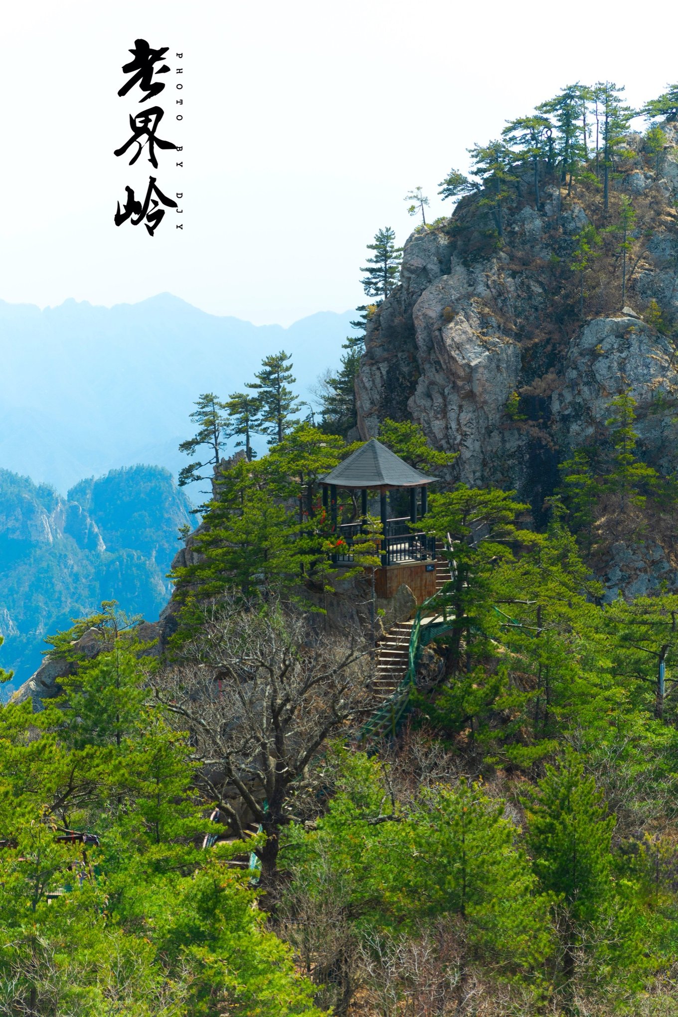 游览老界岭的感悟,河南老界岭景区