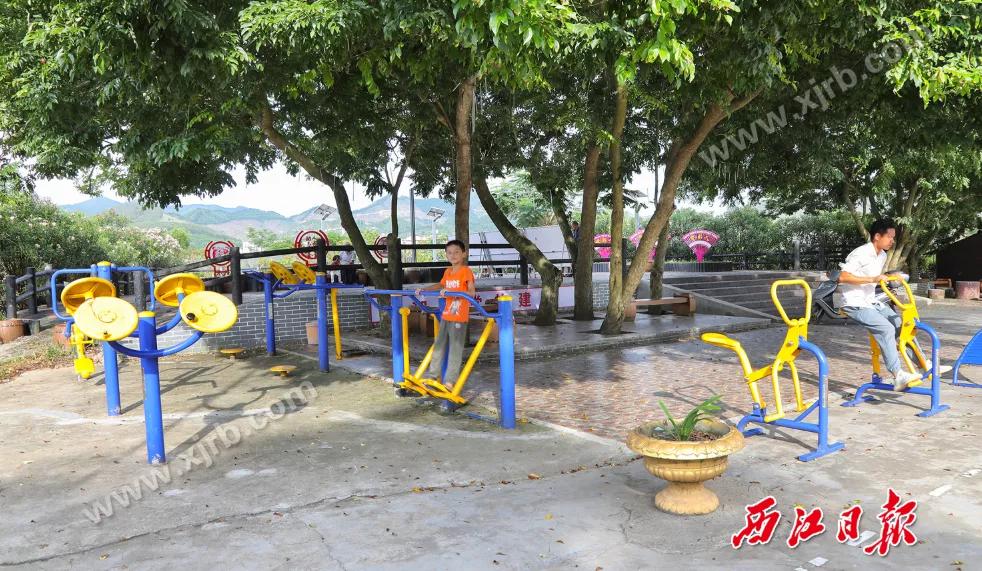 年收入翻了8倍多！肇庆这条村是怎么做到的？