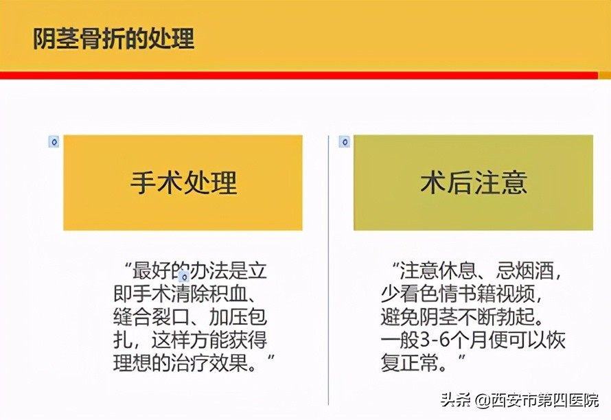 #健康中国行动2030#丁丁断了也能修!精湛医术“把根留”