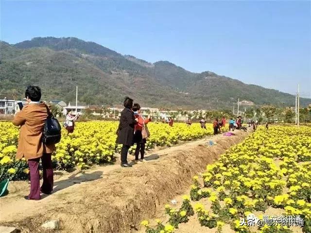 鄂城怎么到花湖,鄂城到花湖