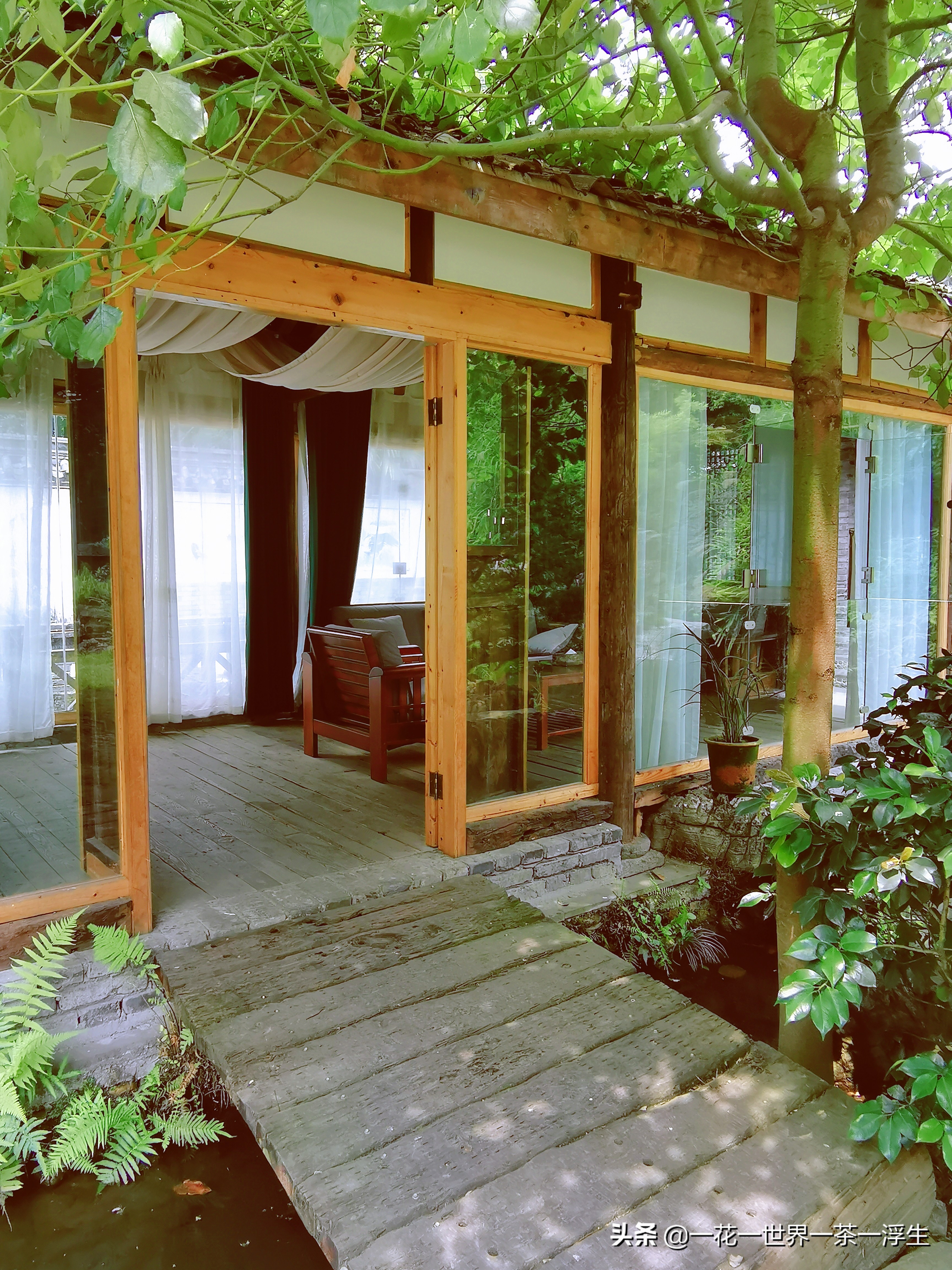 寻找巴适的成都小院(2)