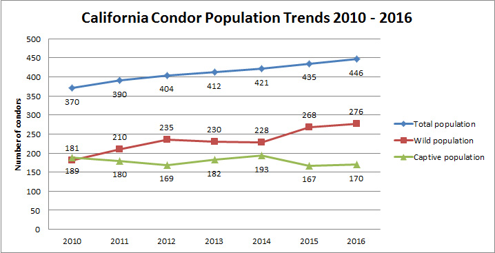 加州妇女发现一群神鹫闯进家门，一只就值10万美元，究竟咋回事？