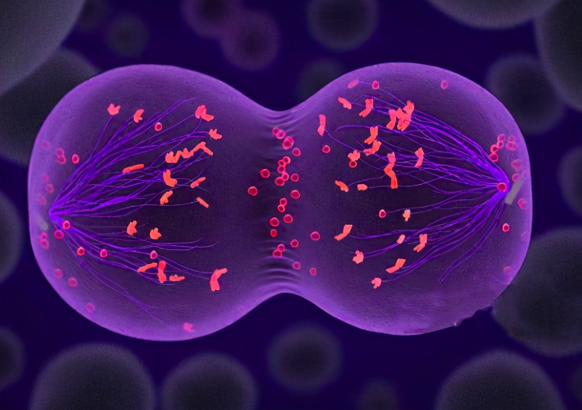 “转胎丸”是什么?父母以为可以女转男,其实是在制造双性婴儿