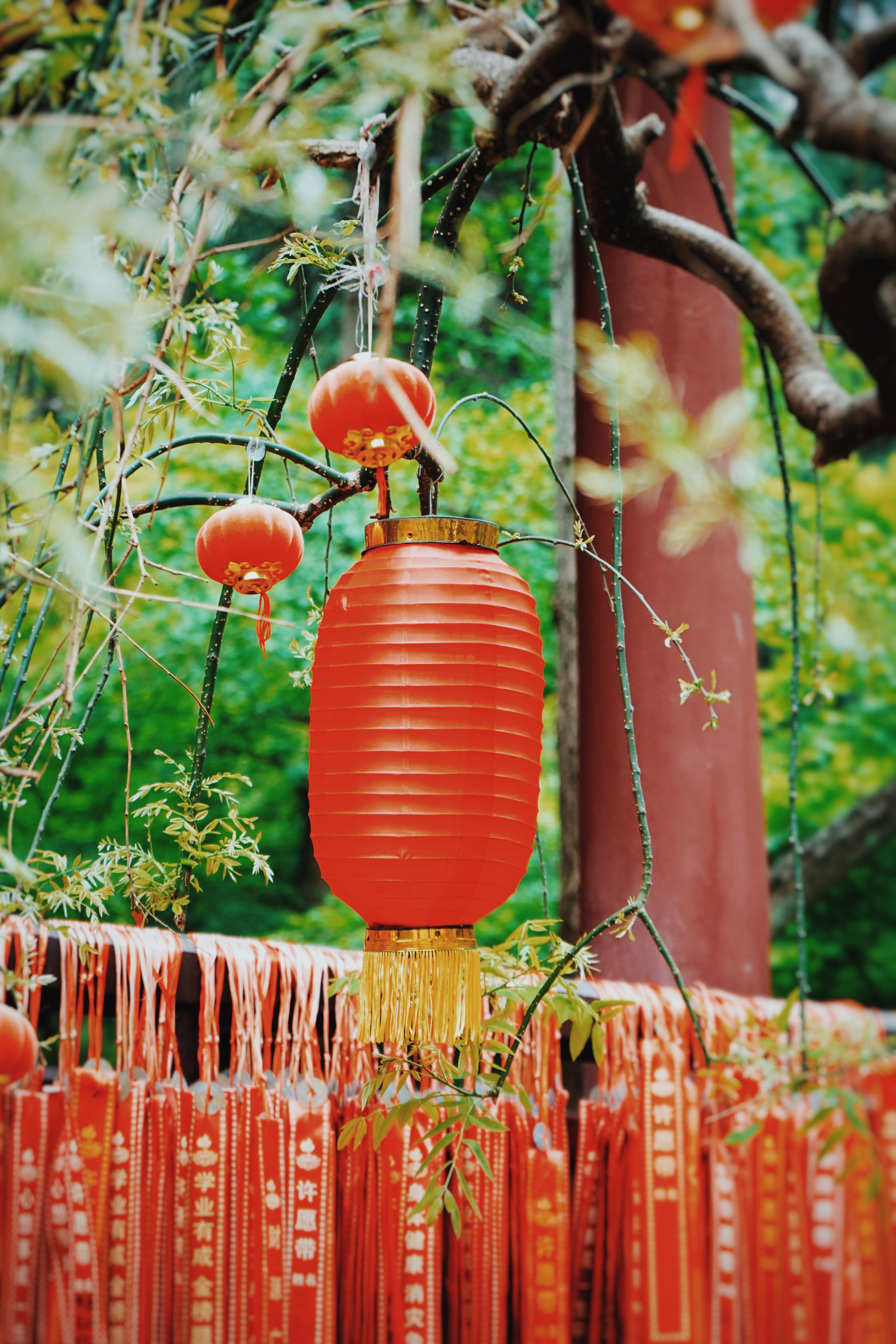 森林公园清凉山,清凉山一道美丽的风景线