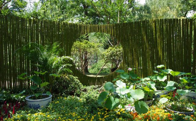 拙政园为什么是园林之首,中国四大名园之一苏州的拙政园