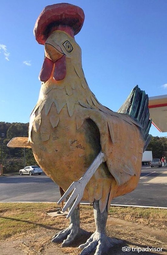 在公鸡身体里吃肯德基、小狗尾巴里吃热狗，奇葩星球餐厅什么样