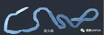 夏天吃海鲜好不好,夏天吃海鲜会怎样