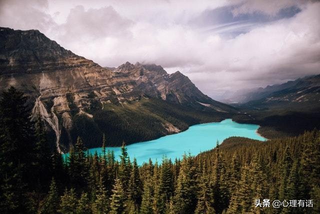 让人爱得刻骨铭心的三大星座,最浪漫的三大星座甜到你心里