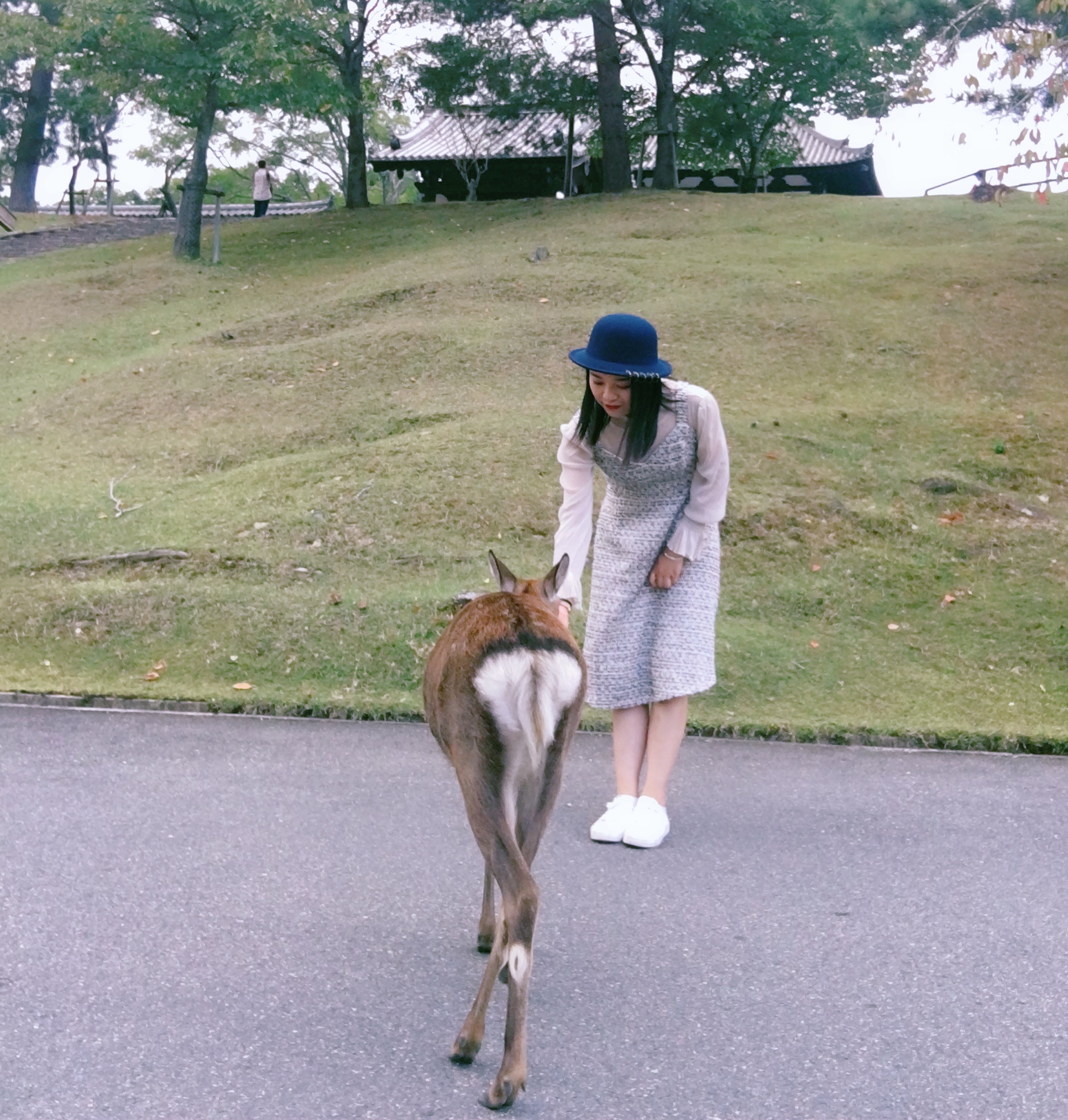 京都之旅探寻古都的魅力与美景,日本旅游东京京都霓虹初见