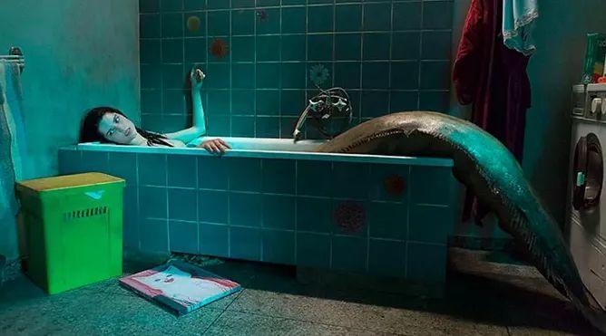 2019纭洏鎺ㄨ崘,2019纭洏鎺ㄨ崘1t