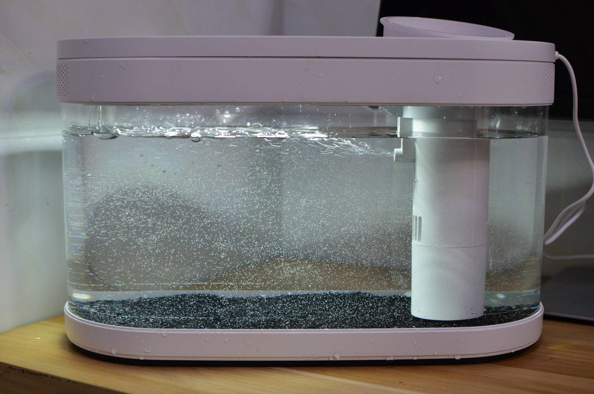 懒人鱼缸养鱼,懒人能养鱼吗