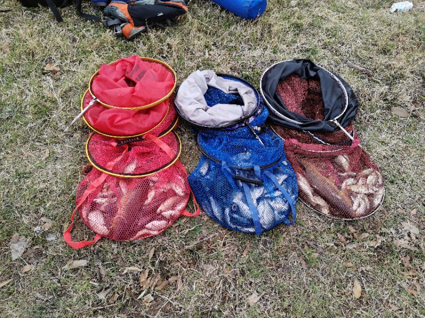 禄劝野钓鲫鱼好地方,禄劝溪流野钓