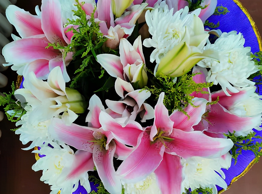 盆栽的百合怎么养最好,盆栽百合的养殖方法有哪些