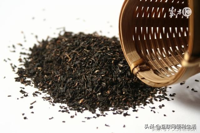 安徽名茶中被列为中国十大名茶,中国十大绿茶名茶最新排名