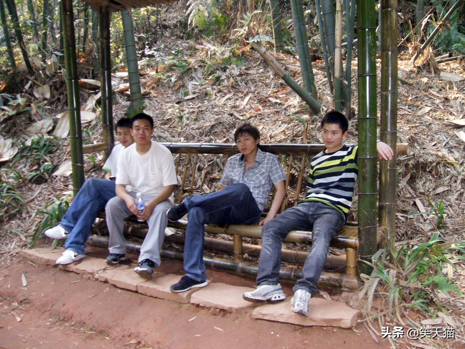 四川宜宾竹海风景,宜宾蜀南竹海全视频