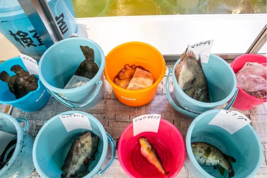 找茬和挑刺,挑刺和找茬的区别