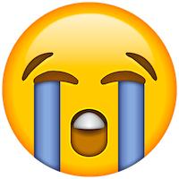 各种表情包用英语怎么说,表情英文emoji怎么说