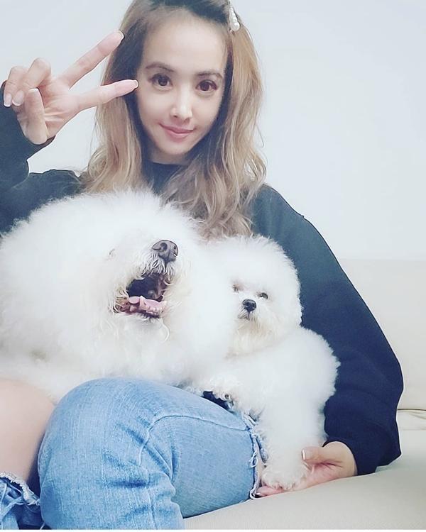 蔡依林深夜发夹自拍照,蔡依林疯狂现场