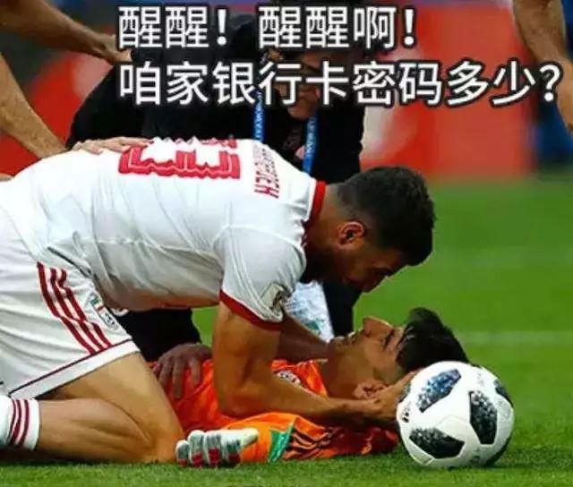 puppycube娴嬭瘎,puppycube