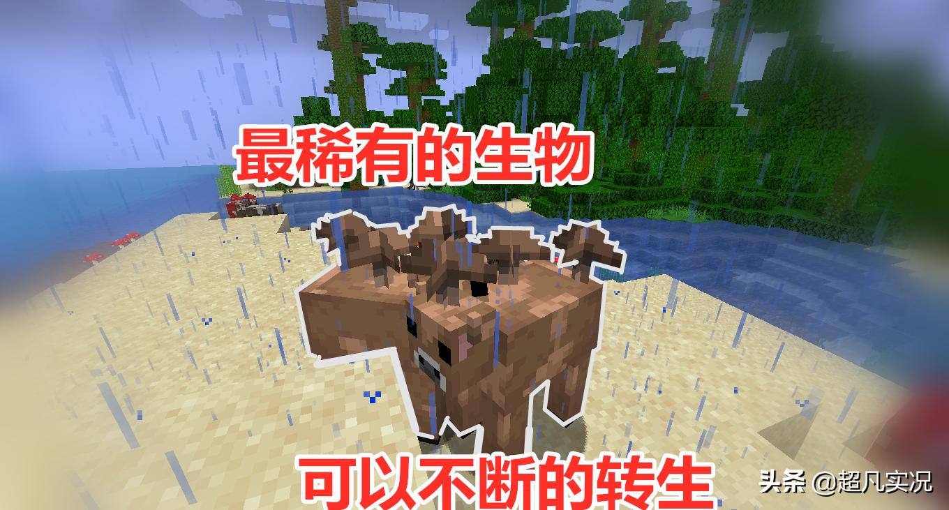 我的世界蘑菇牛怎么变色了,我的世界蘑菇牛出现的几率有多少