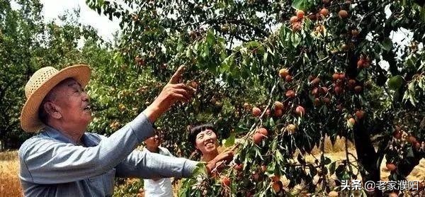 濮阳县各乡镇地名由来,濮阳最早出现的地名