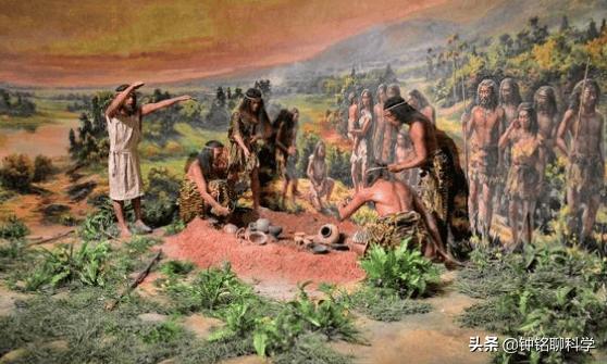 为什么虱子从21世纪就消失了,人类虱子的进化史