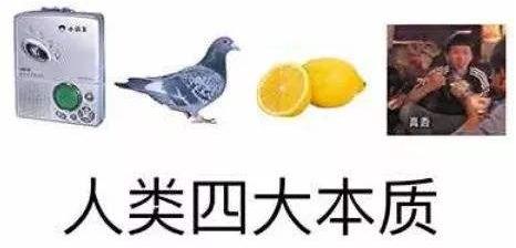 wiisports任天堂,wiisports