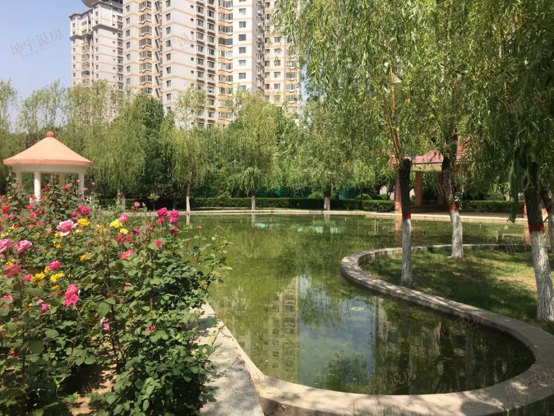 实探学区房,实探一线学区房