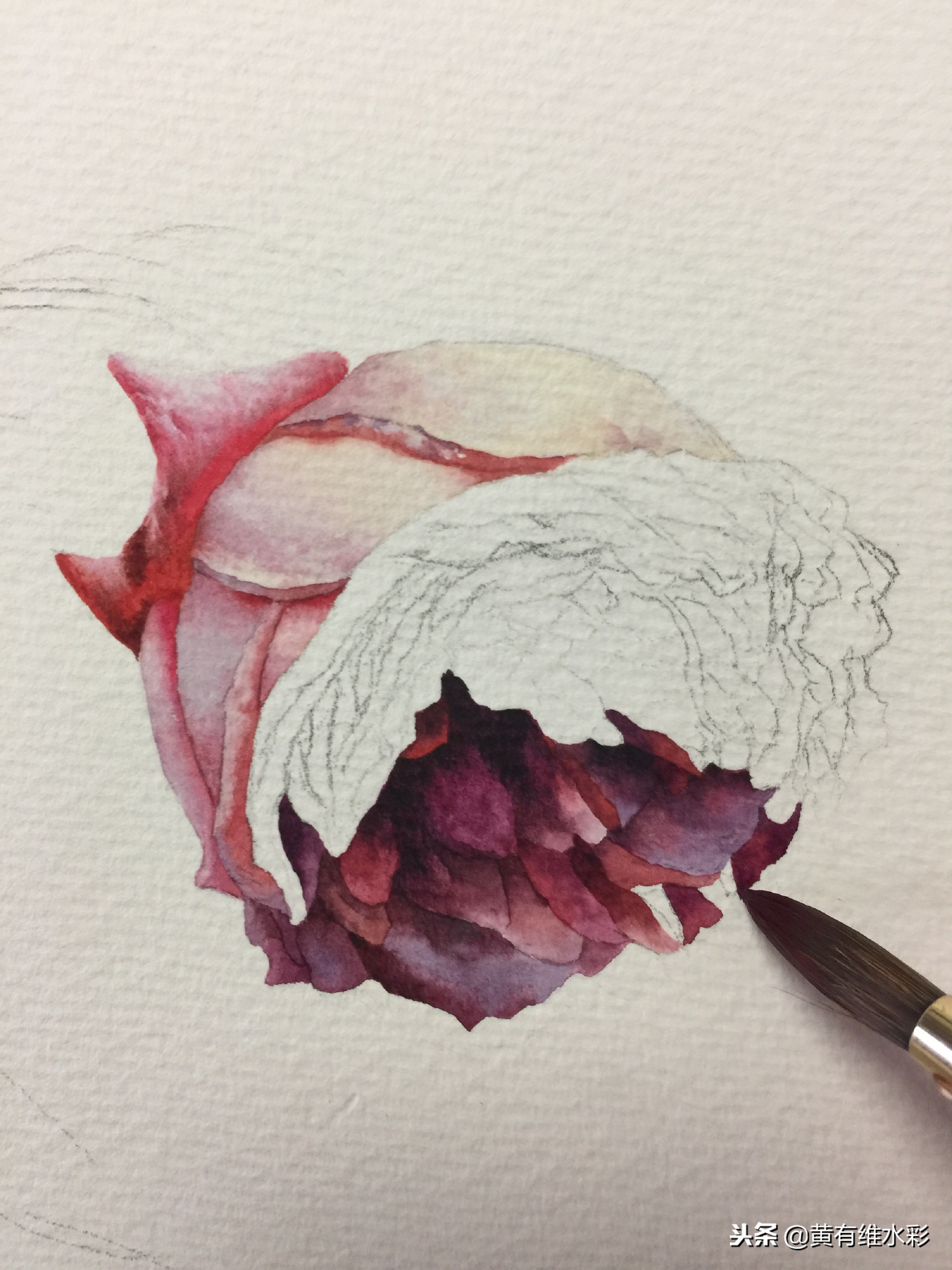 水彩教程简单好看手绘图片,水彩教程画花