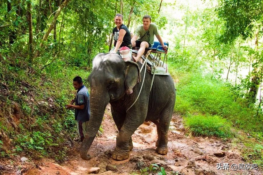 蜜月潜水看海推荐,全球最适合蜜月旅游的海岛
