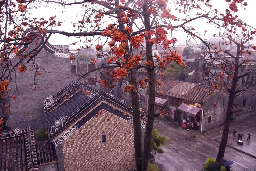 番禺好看的街景,番禺美丽的风光