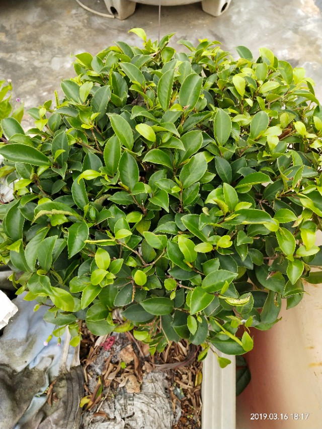 英语单词分类100个,英语新增单词259