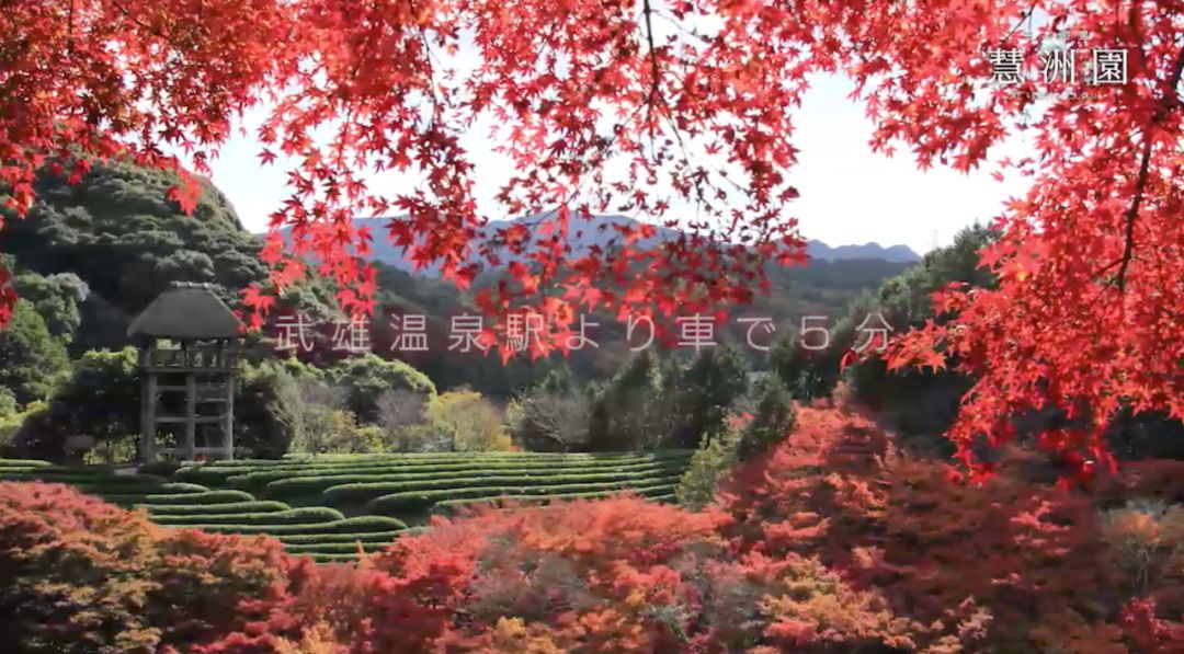 佐贺在日本的地理位置,佐贺市有什么好玩的地方推荐