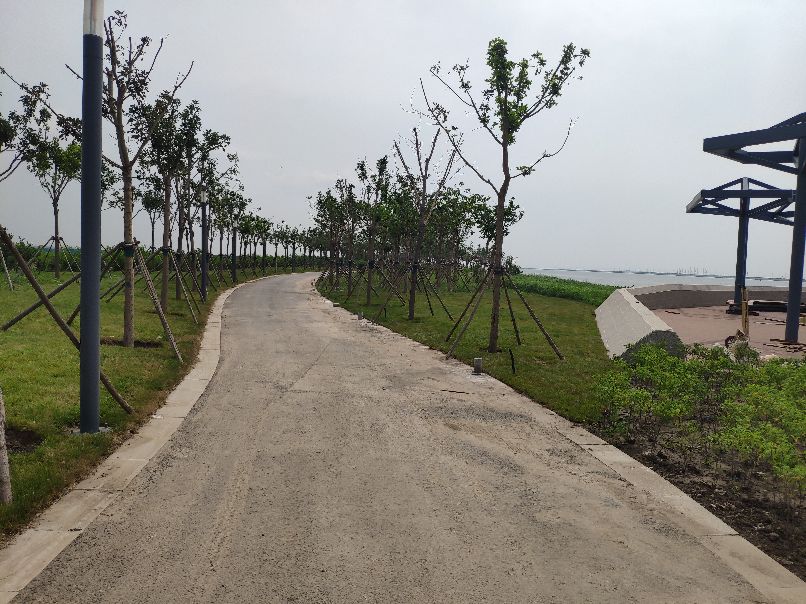 滨海临港经济开发区,滨海新区临港经济区都包括哪里