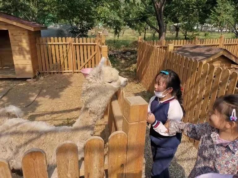 不靠名师、不拼生源，罗振宇盛赞的乡村学校，让我们看到教育“突围”的可能