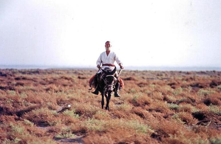 骑毛驴去看毛主席的库尔班,临终:后代参军报国,重孙女完成遗愿