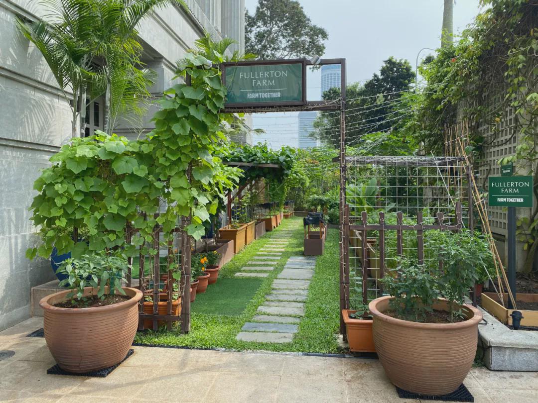 新加坡十大必住酒店,在新加坡住酒店多少钱