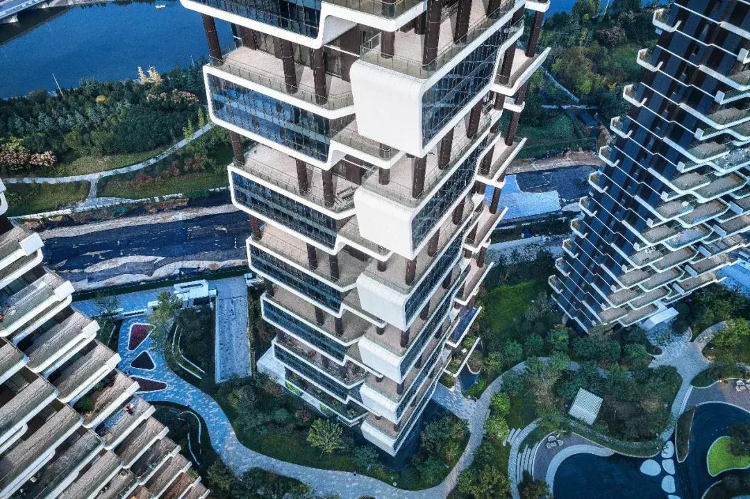 盘点郑州这些C位出道的热盘