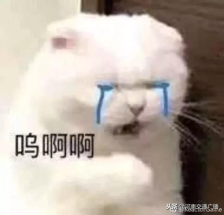 房子租给年轻人的后果,房子租给单身小伙一年多