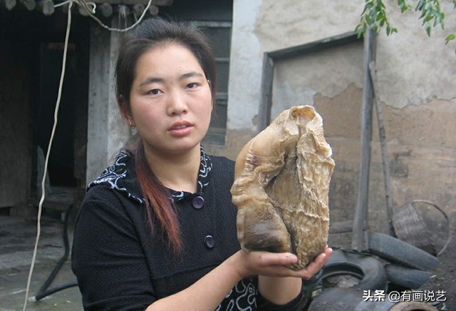 太岁是植物和动物的祖先么,太岁是一种什么东西是植物吗