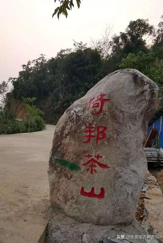 六大茶山倚邦普洱生茶,倚邦普洱茶的特点