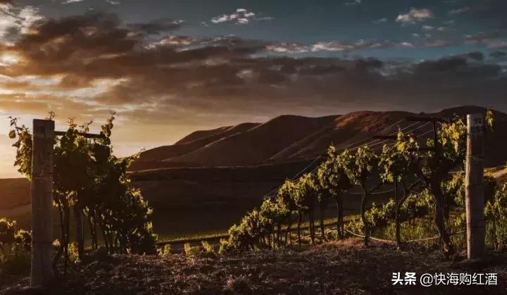 法国葡萄酒分级体系图,智利葡萄酒分级