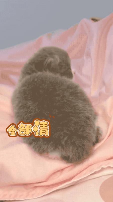 10秒视频朋友圈怎么制作,怎么做30秒视频发微信朋友圈