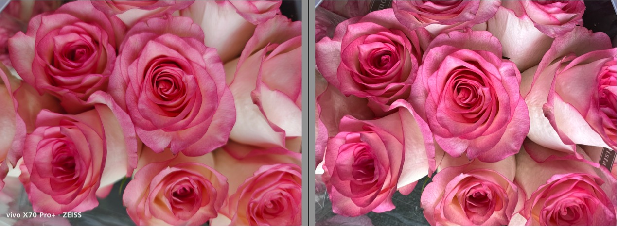 iphone13promax镜头解剖,iphone13pro跟13promax录像对比