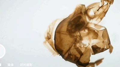 华为手机显微镜放大1000倍清晰,怎样才能把手机变成显微镜模式