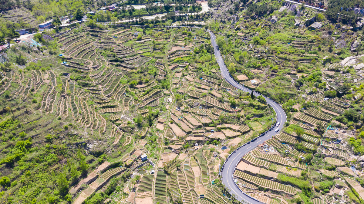 世外桃源意大利五渔村,青山村青岛网红渔村攻略