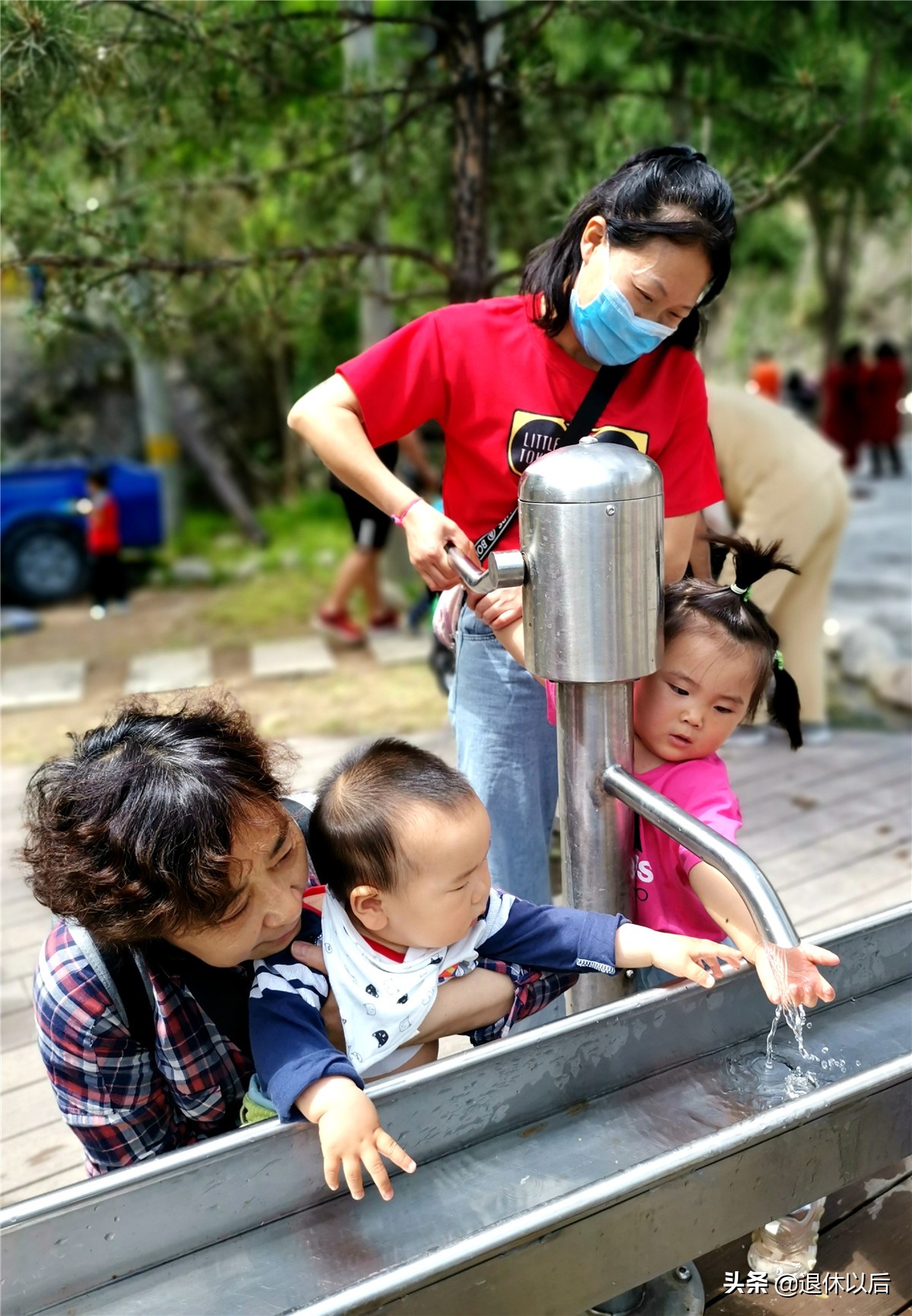 森林中的童话树屋,原始森林里的童话世界